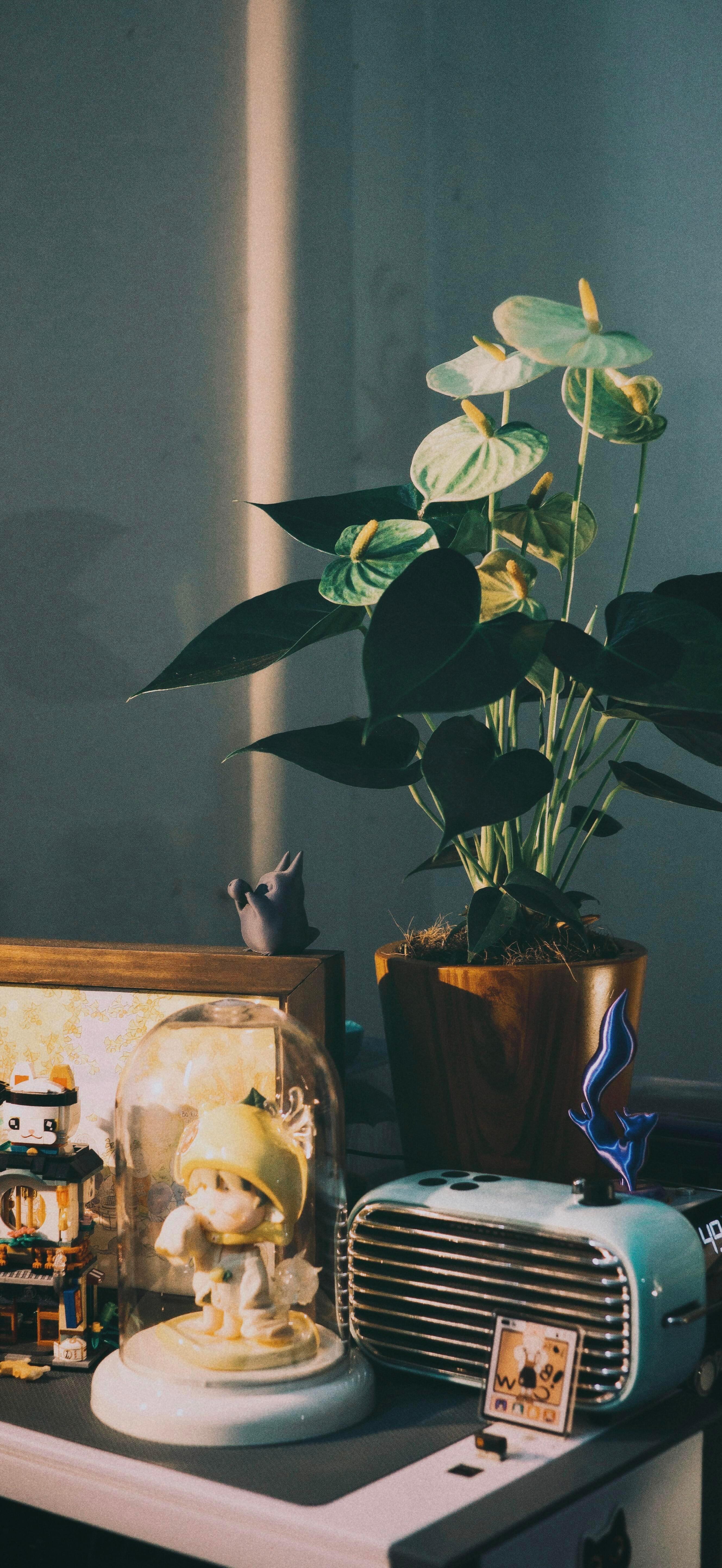 𝙢𝙞𝙨𝙨𝙡𝙮𝙣𝙣丨No.97壁纸氛围感𝐒𝐡𝐚𝐫𝐞｜萌