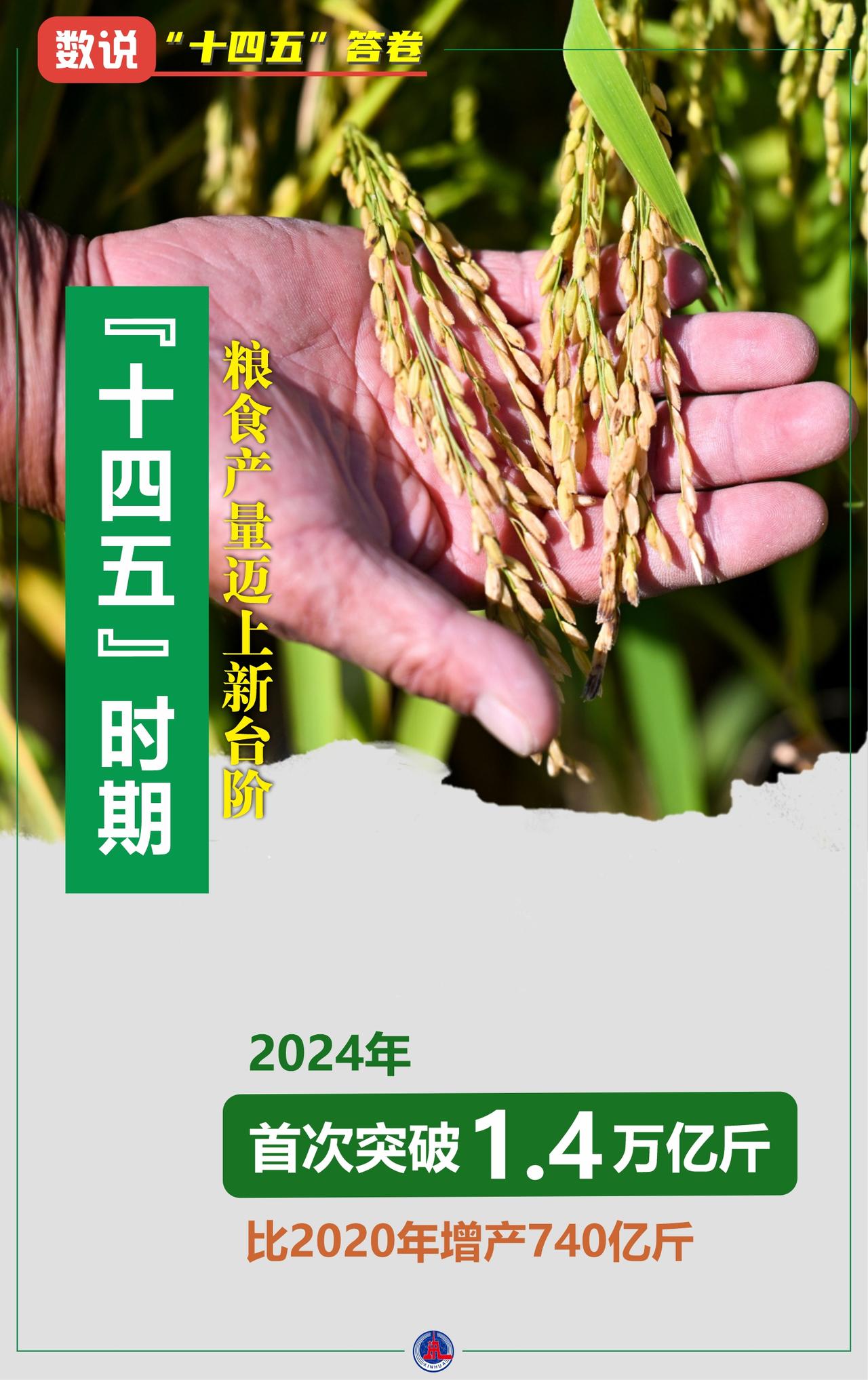 全球断粮也不怕！中国饭碗端得牢，停供全球10%人要挨饿街坊邻居们注意啦！要