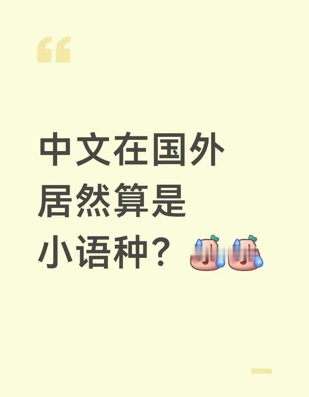 中文在国外居然这么小众？我一直觉得中文全球好多人在用！没想到HelloT