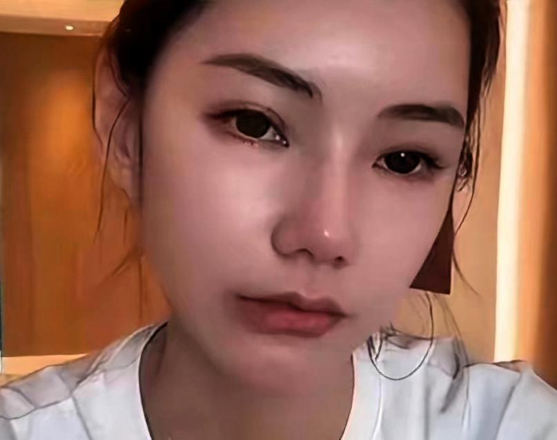 一个母亲，带着孩子，回到北京，过去日子，欢迎人很多，这次没献花，没有人来接，机场