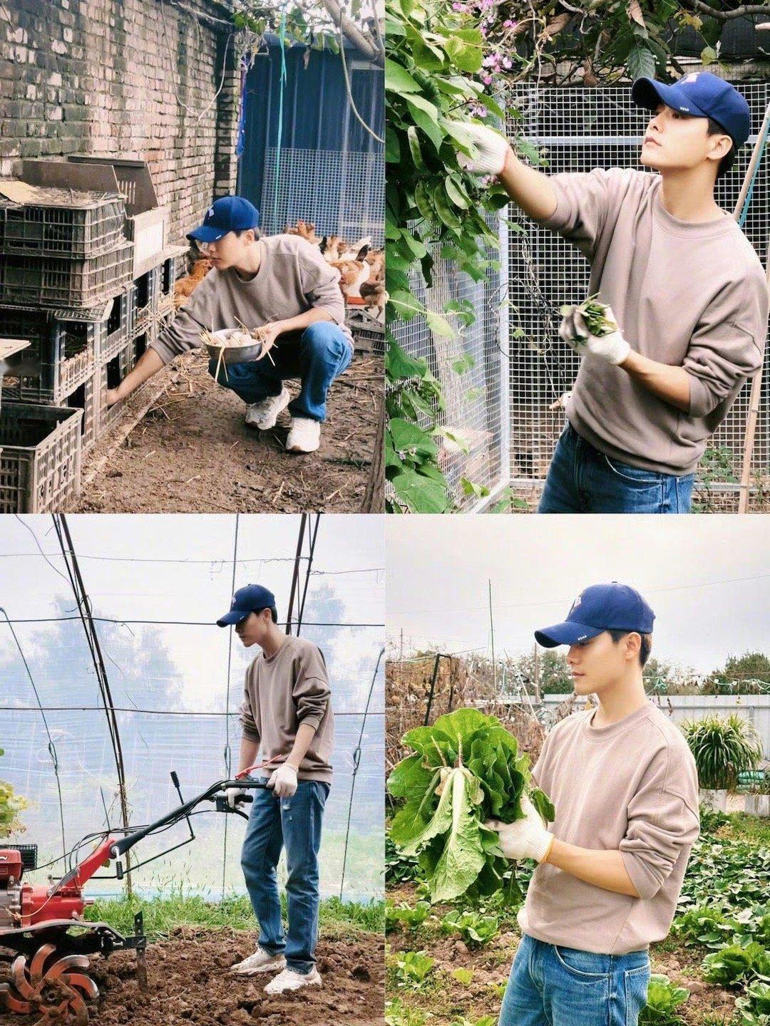 马天宇一次挖出了10个红薯真不愧是马天宇，干农活也像模像样！一锄头下去就挖出十