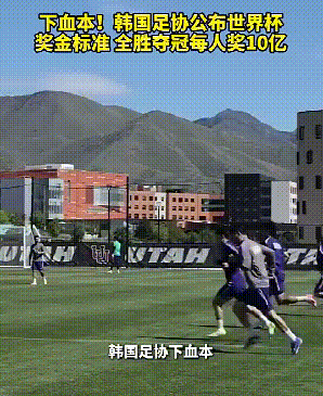 韩国足协真敢想啊，最近他们公布了世界杯的奖金标准，如果韩国队全胜夺冠，每人就能奖