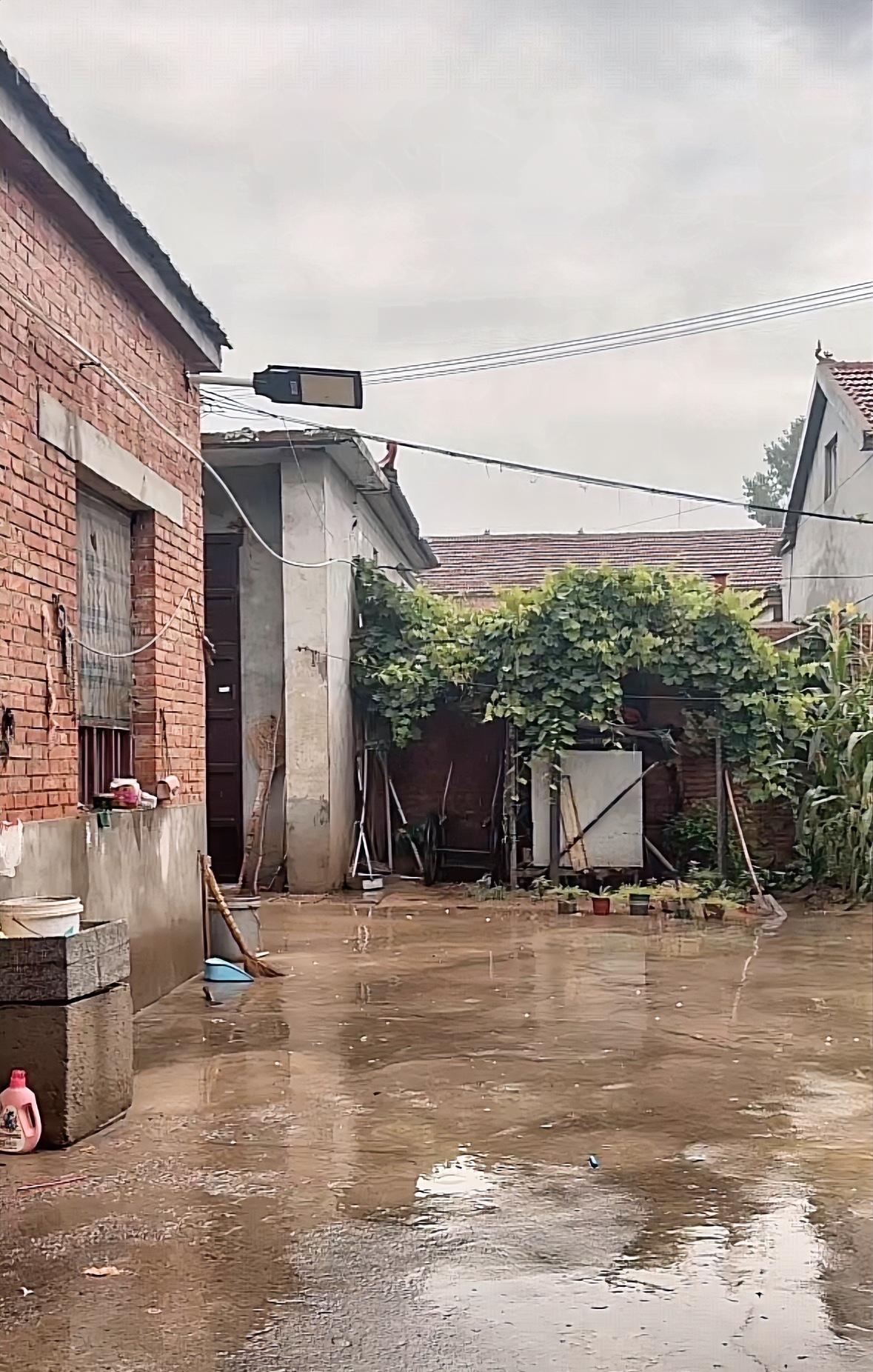下雨了，河南这场雨真难下，这么多天的高温热的让人难受，今天的温度终于降下来了。昨