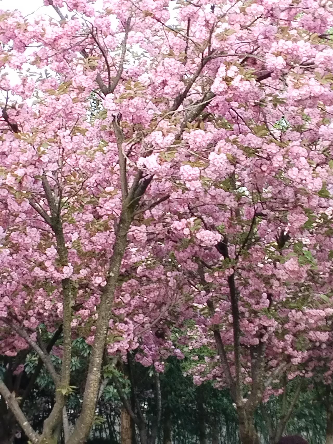 上联：上上下下上下一致结构：这是一句由“上”、“下”、“一”这几个字反复排列