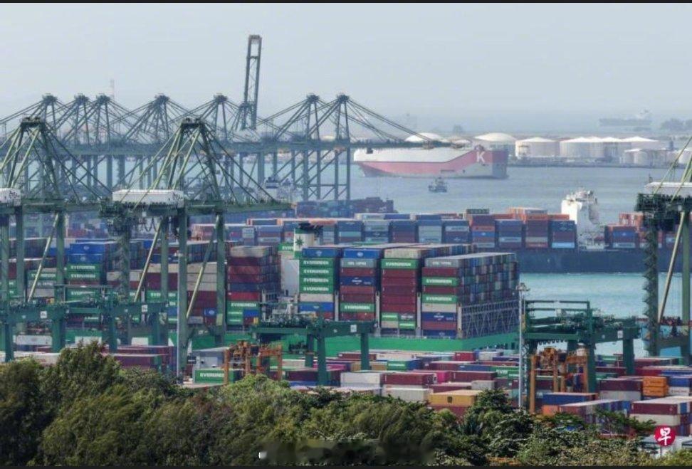 舔狗舔狗，舔到一无所有！新加坡联合早报报道：“新加坡贸工部向美国表明，新加坡对美