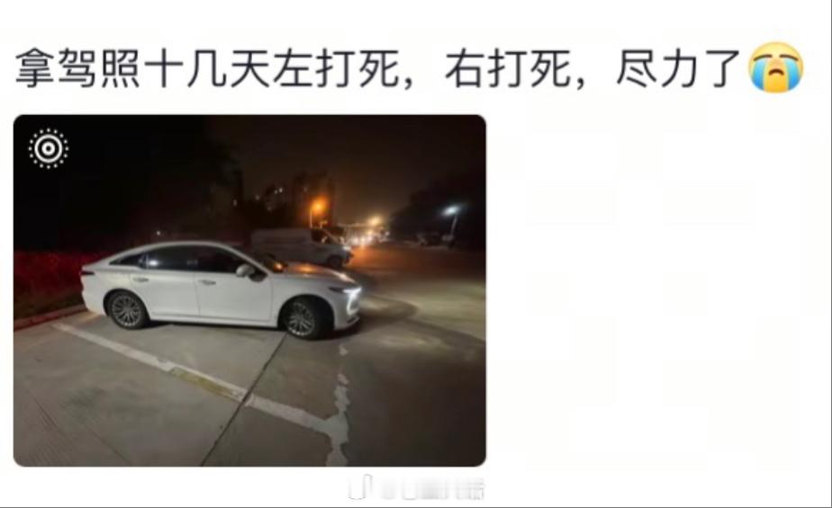 当拿到驾照但依然不会停车[跪了]​​​