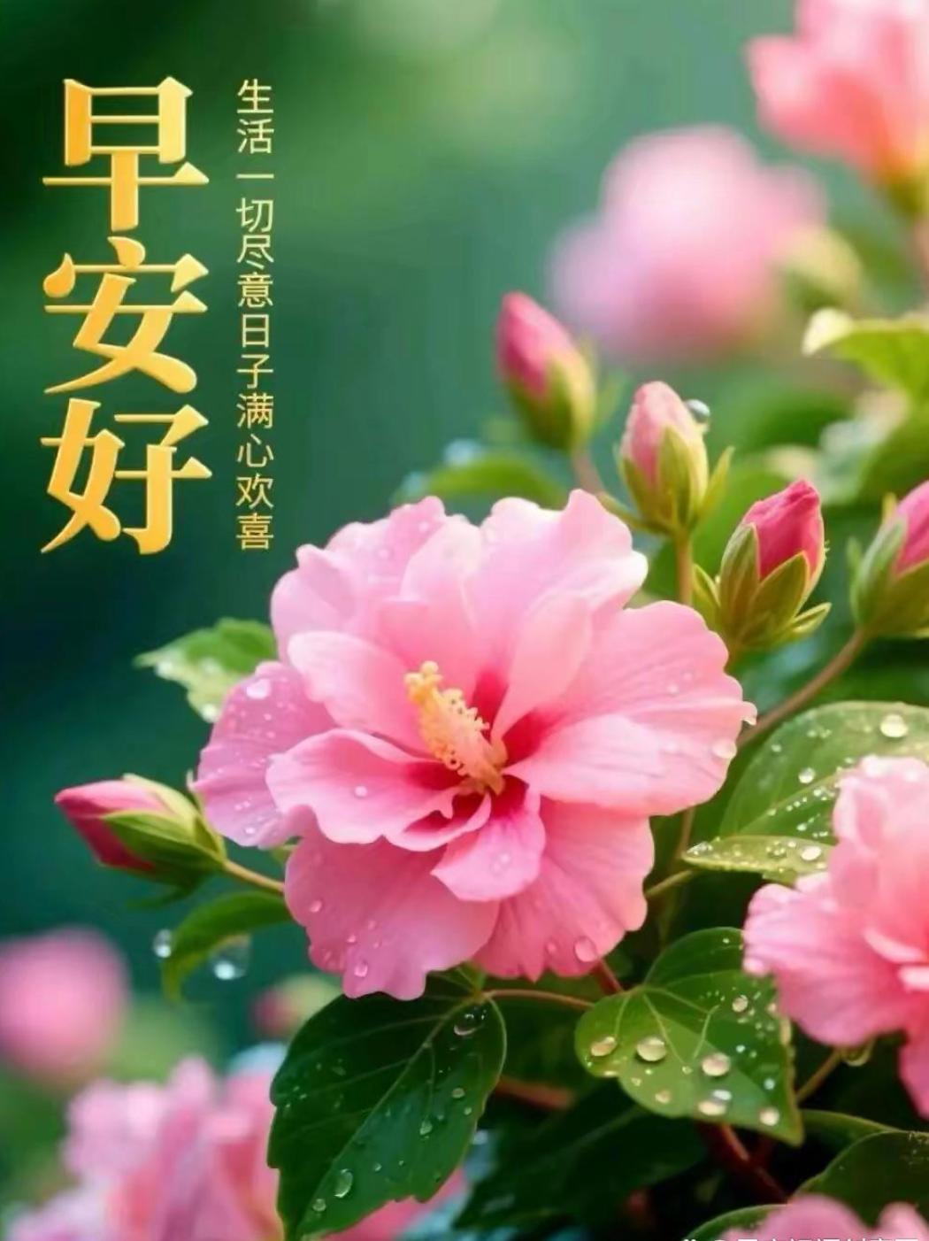迎着晨光，奔赴周五。收起连日的疲惫，怀揣轻松的期许，愿你在新的一天里，遇见更好的