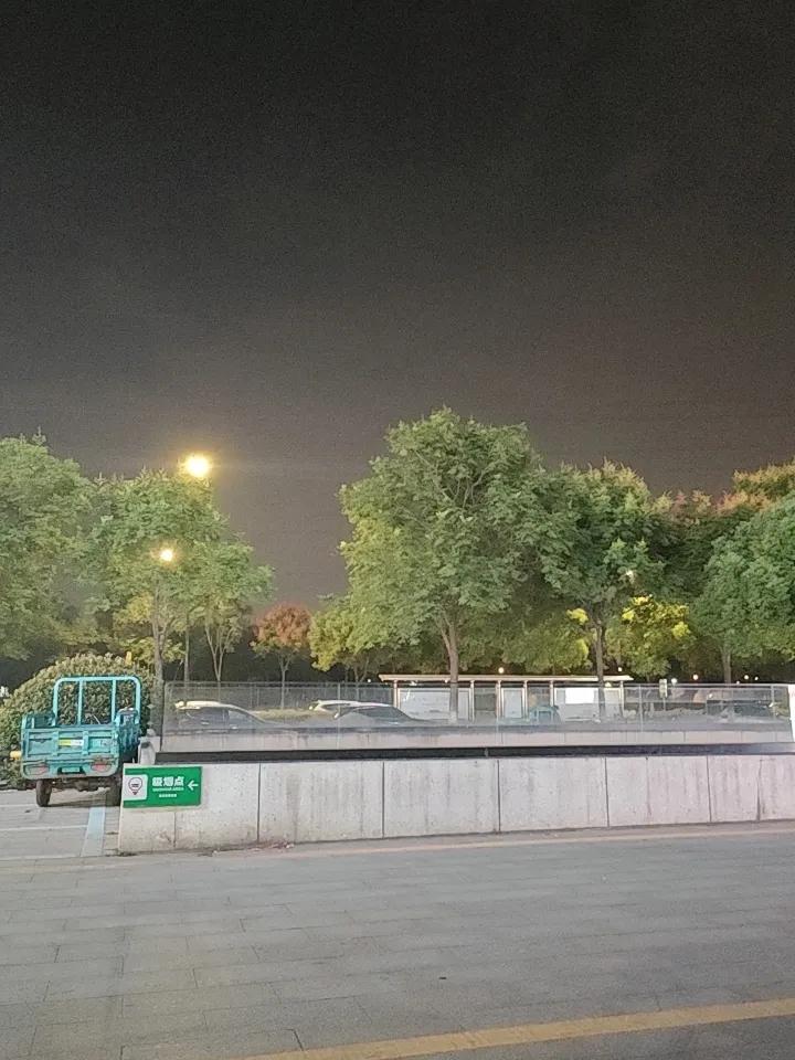 养生，最狠的补药，不是人参，不是阿胶，是——慢！你越急，身体越乱；你越催，气血