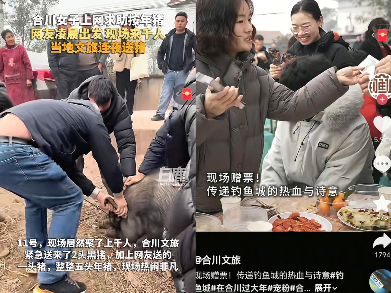 合川文旅这反应，太敏锐了！凌晨两点多就摸黑上门了！这可不是普通的帮忙，分明