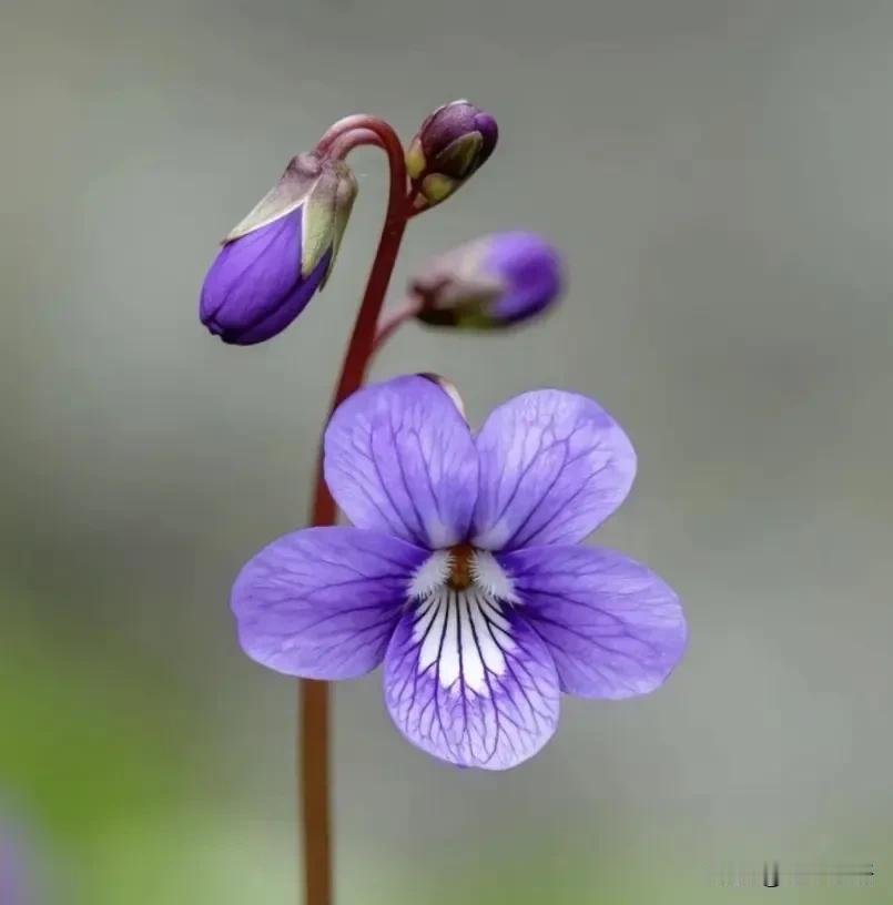 一位律师说：只要你被派出所叫去接受调查，就千万别高估自己的应变能力。不管你多