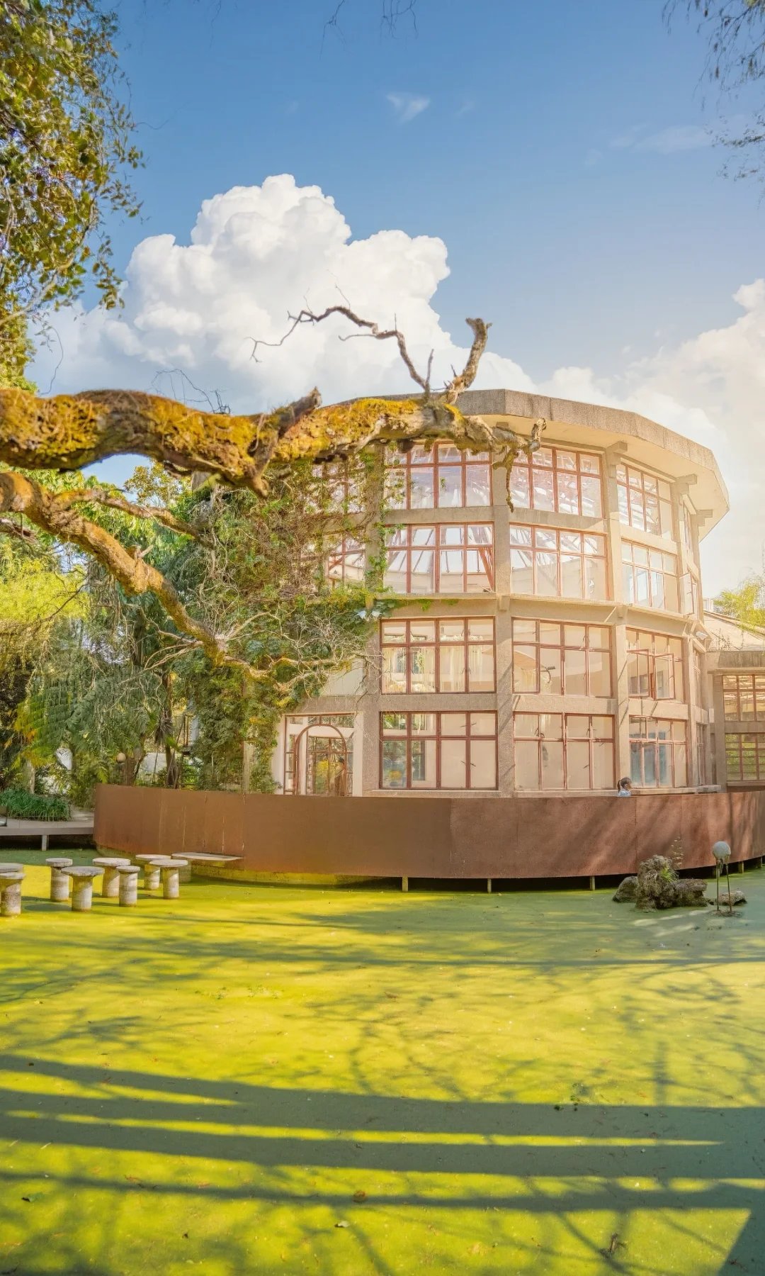 在昆明❗️闯进宫崎骏漫画的“抹茶湖”宫殿