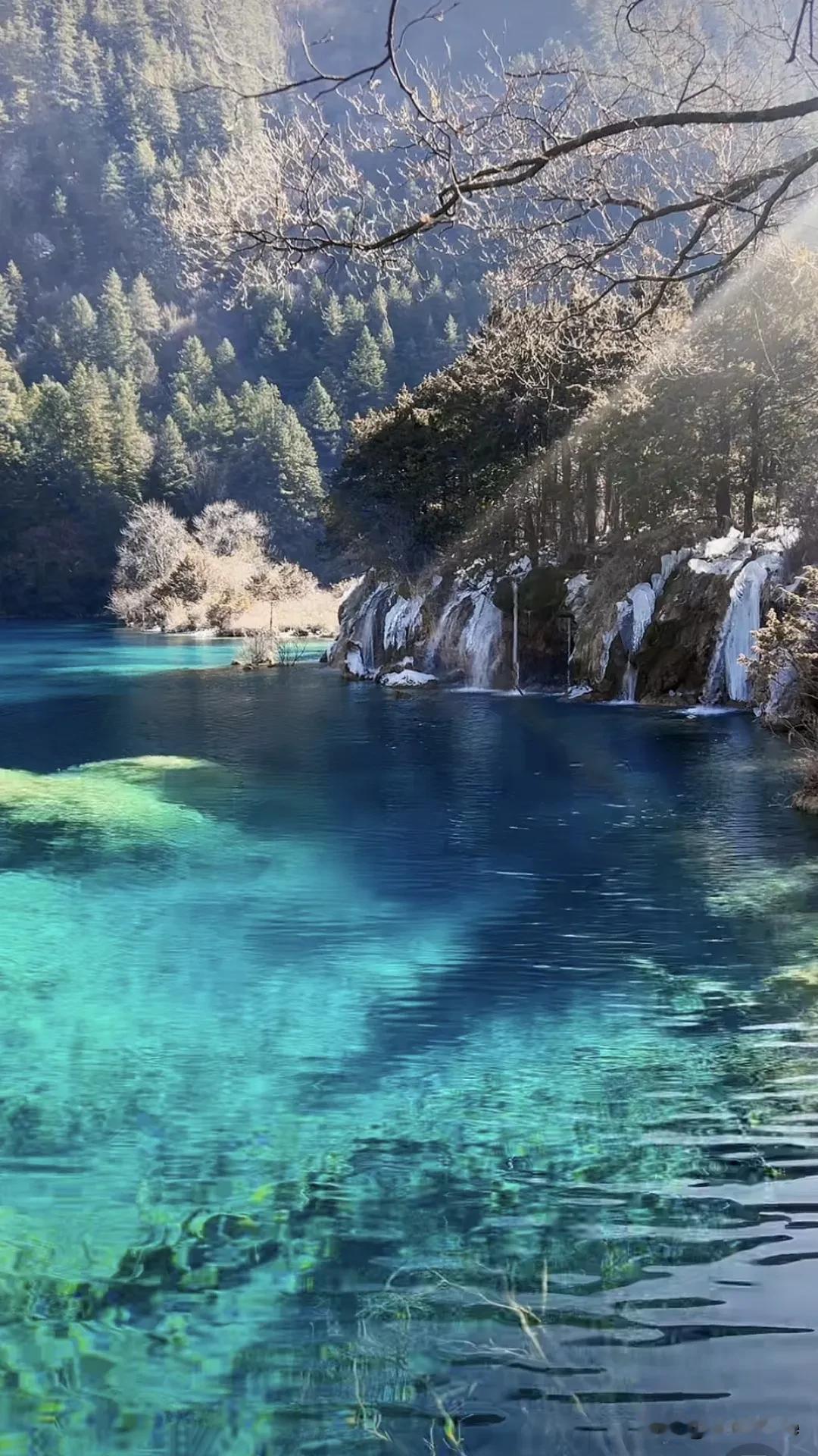 九寨沟的水确实独一无二。我去参观过，一直难以忘怀。那水的颜色丰富得像打翻了上帝