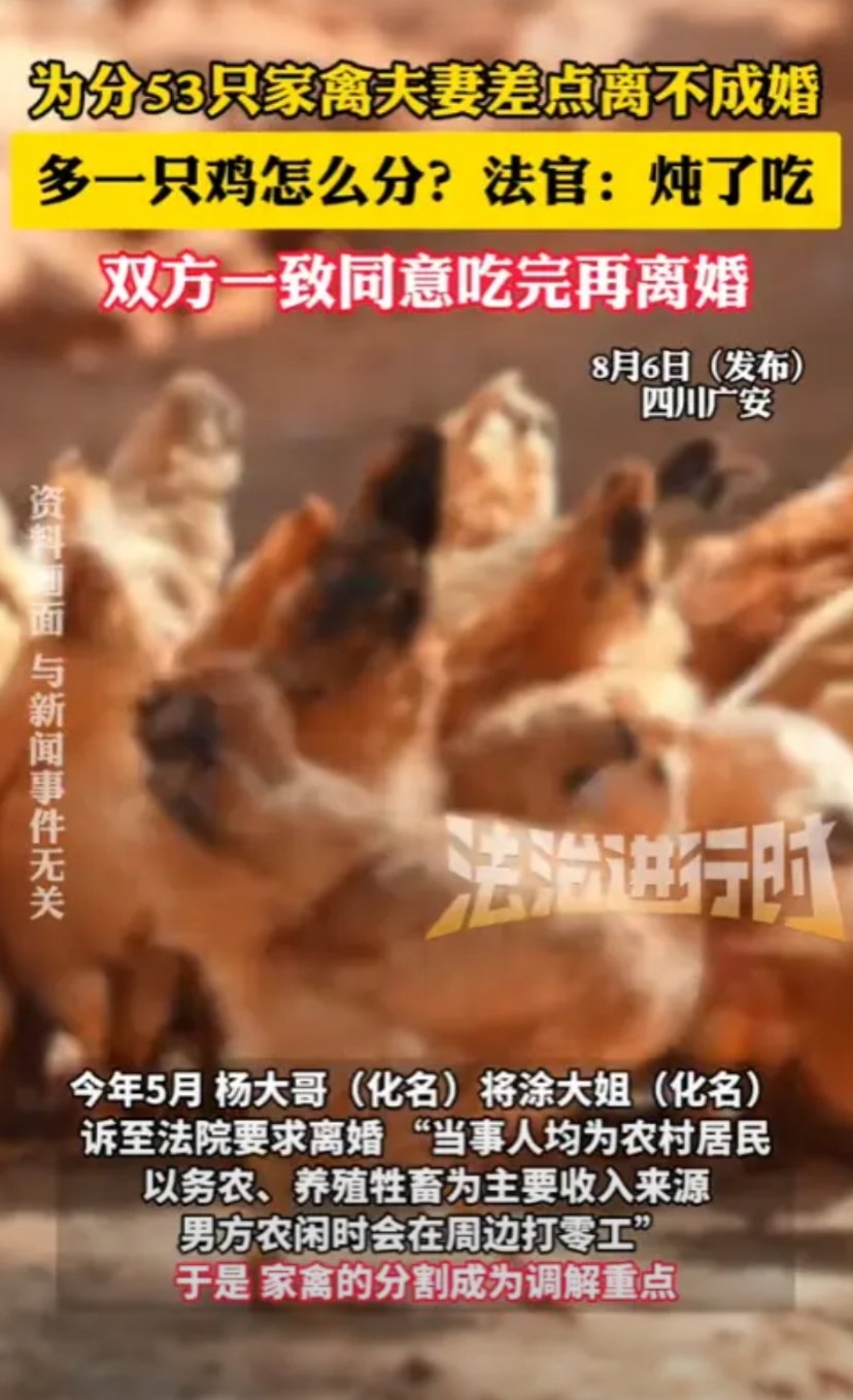 “笑不活了！”2025年，四川，一男子要与老婆离婚，却因53只家禽无法平均分，差