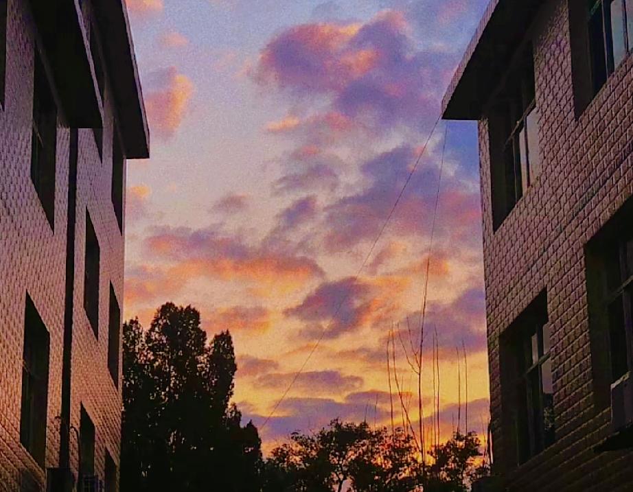 女人的高冷跑步健身禁欲都是留给没有感觉的人看的，在爱的人面前都是活蹦乱