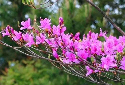 周三A股中阳向上修复，周四需留意板块轮动节奏！回顾周三大A表现，4月喜迎开门红