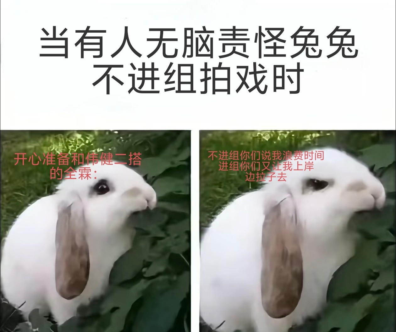 真进组了真二搭了真亲嘴了到时候别叫，好话都让你说尽了需要你来当好人啊浪费你时间了