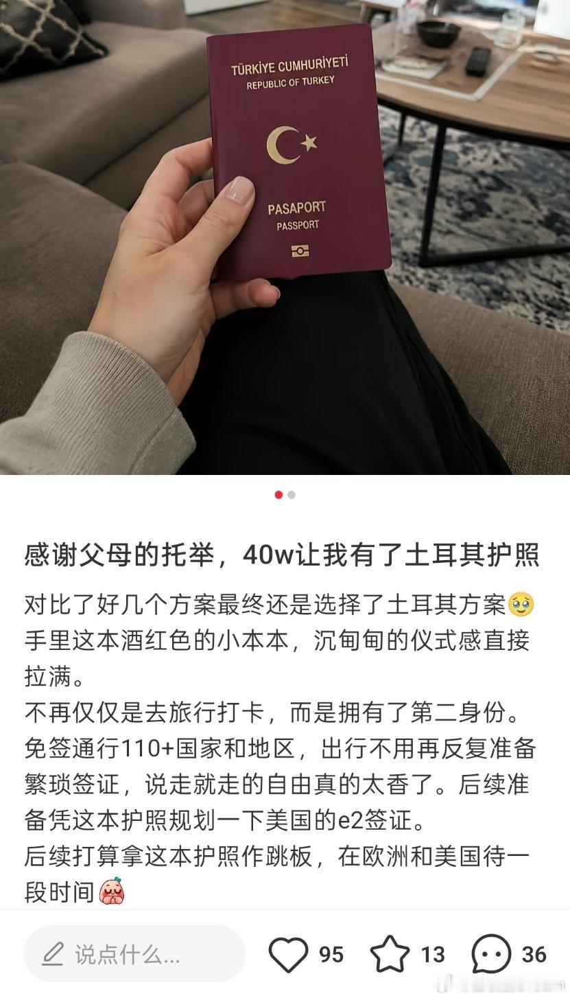 感谢父母的托举，40w拿下土耳其护照[并不简单]​​​