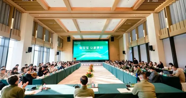 兔宝宝四大渠道布局打造百亿家居生态