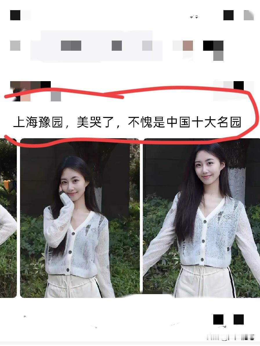 我想说的是挡住我看名园了。