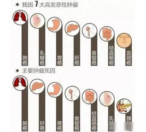 每个人都害怕癌，其实癌细胞也非常怕你，不信你看！最近陪叔叔做化疗，护士说很