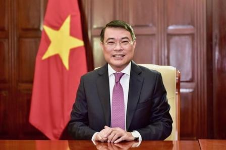 说句大实话，越南这条南北高铁，放眼全球，除了中国，没有任何一个国家能真正拿下、顺
