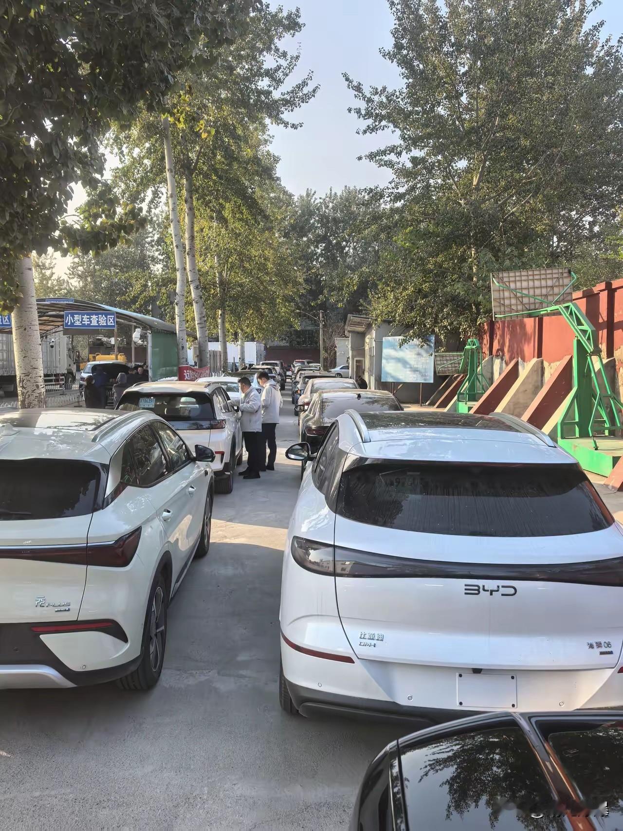 陪朋友新车上牌来了，没想到一水的比亚迪汽车，我就想问问难道比亚迪就真的这么火