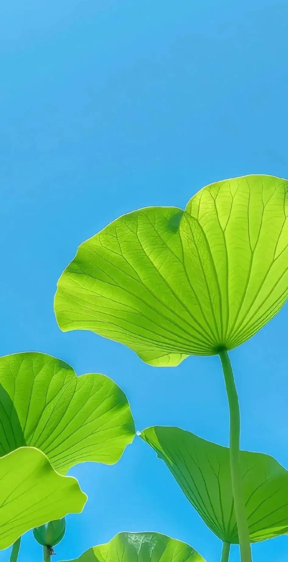 王志文说：“当你接触的人越多，就会明白，成年人最该提防的，从来不是那些脾气大，
