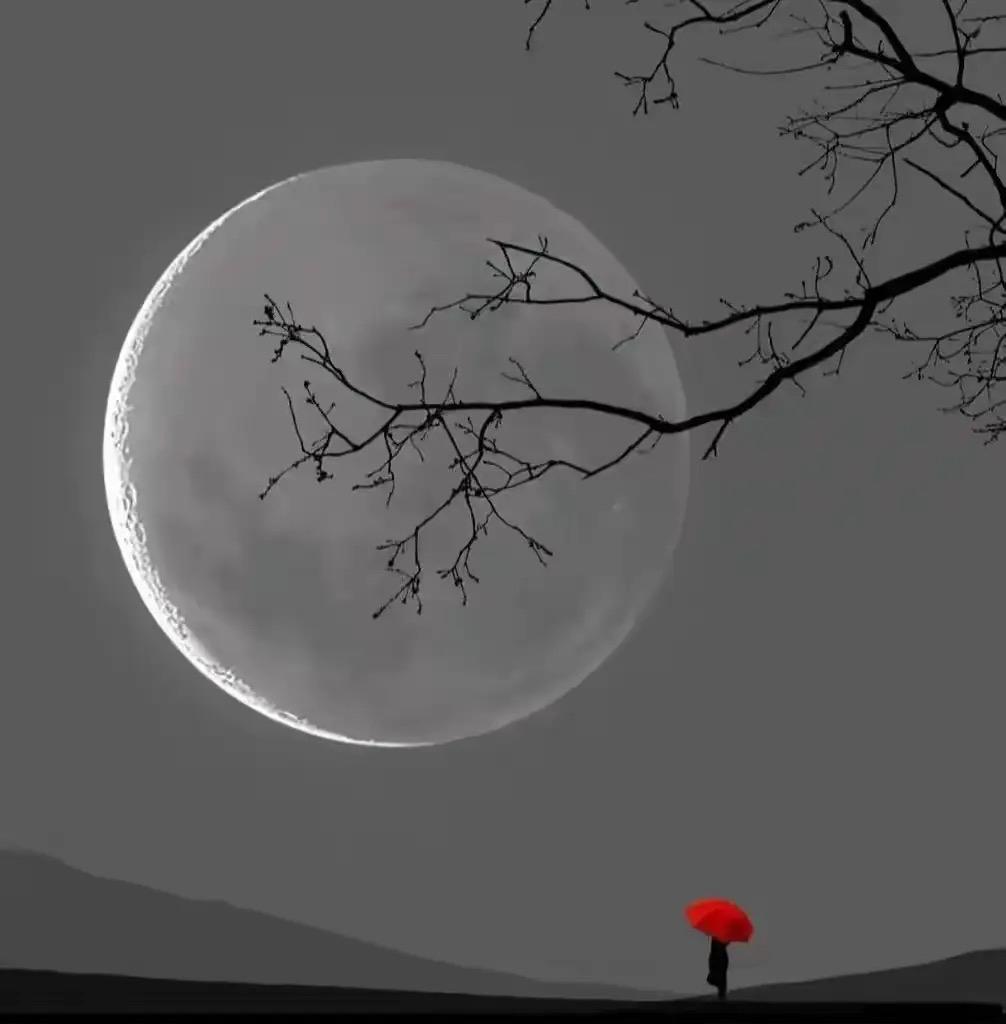 十分治愈的一段话：“一个人，他钱再多又能怎样，无非就是比常人多睡几个女人，多吃几