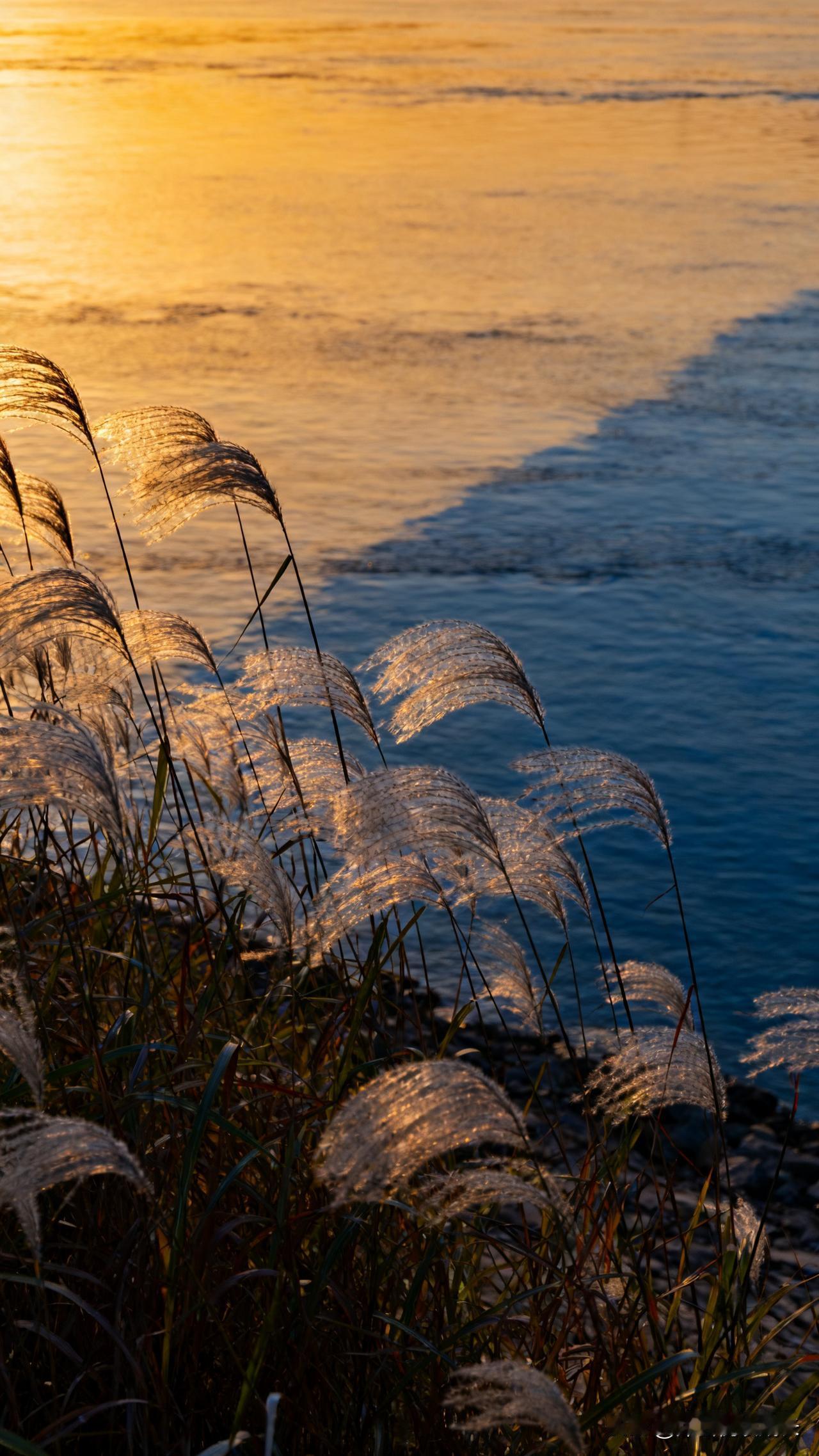 人到中年，学会“甩手掌柜”，孩子反而比你更靠谱昨天傍晚在长江边散步，碰到老