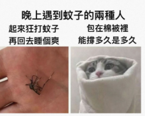 晚上遇到蚊子的两种人