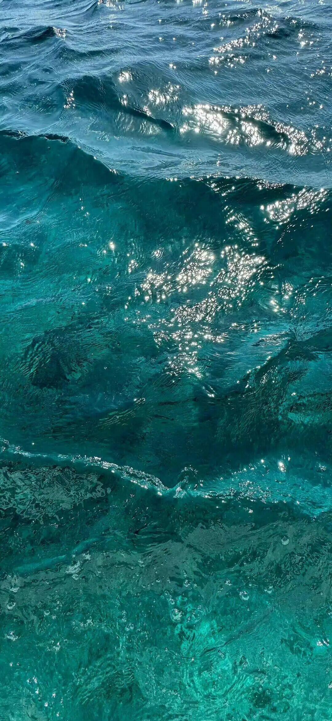 壁纸分享｜听海