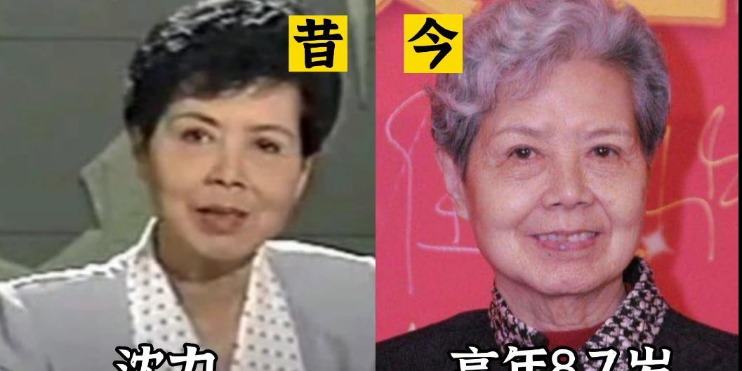 18位观众熟悉的央视主持人，张铎已是白发苍苍的老者，张宏民一辈子未婚未育，倪萍和