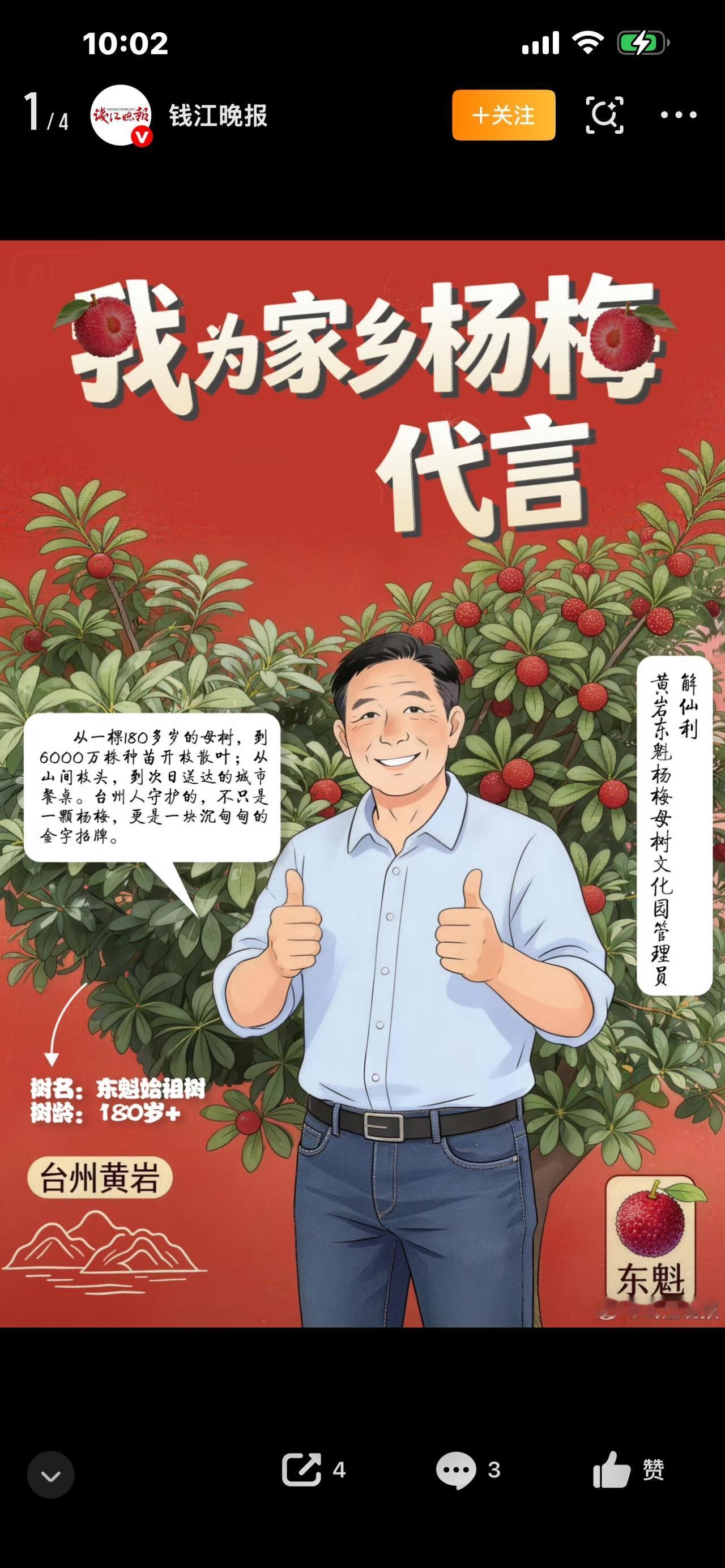 视频标题：全国东魁杨梅的老祖宗！浙江180岁古树枯而复生，今年重新挂满果子你