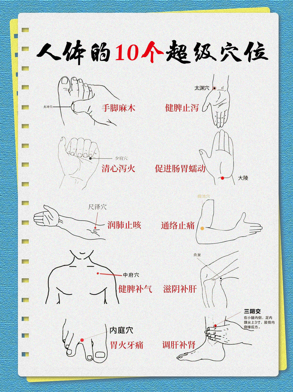 💡人体10个宝藏穴位，日常养护超实用！分享几个能帮我们日常调理身体的穴位，