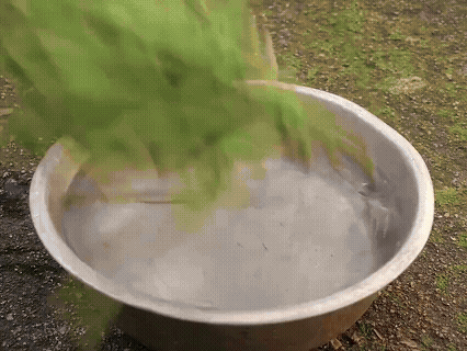 这是不是河南豆角焖面啊