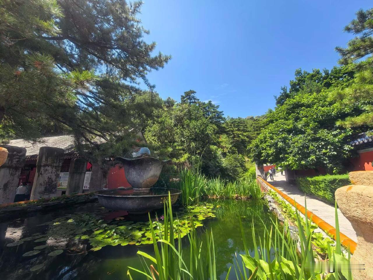 a股每年妖股都有一个规律，比如常山某明，深圳某强，那就是跟华为战略合作，跟华