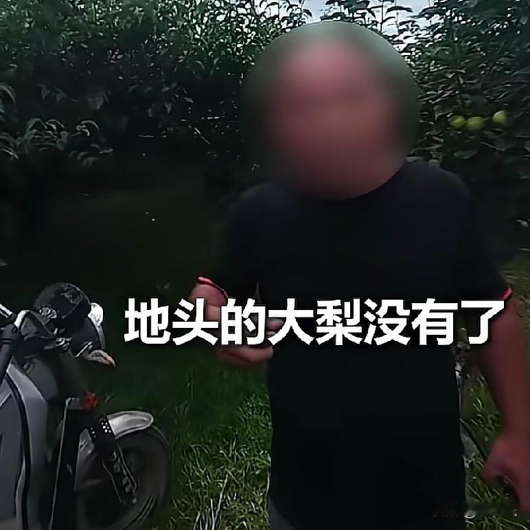 近日，安徽砀山，民警接到群众报警，称地里的梨被偷了，民警急忙赶往梨园，居然当场抓
