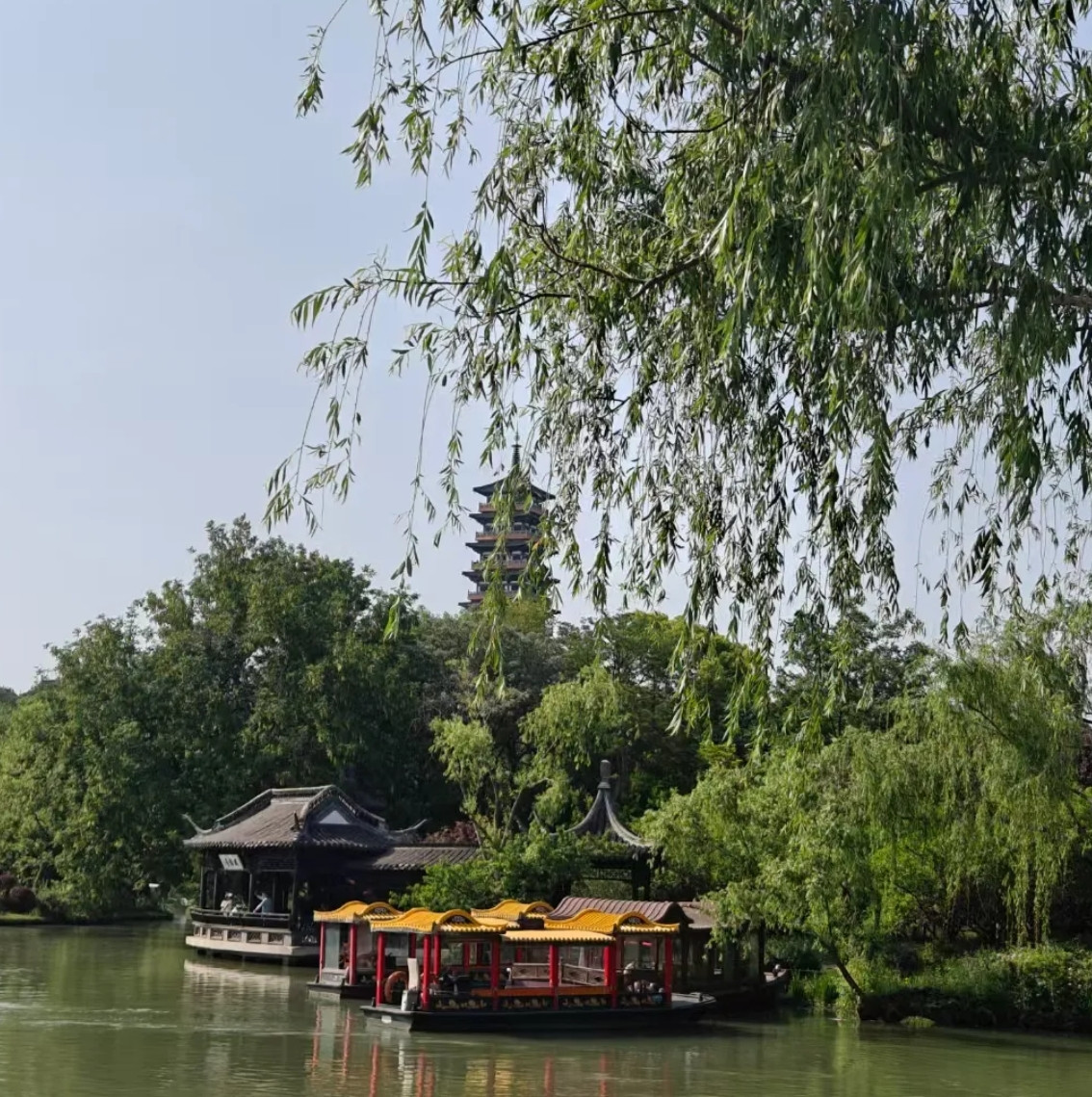 我老婆出轨了但我不会轻易就和她离婚，因为目前我还没有能力独自一个人面对家里的一切