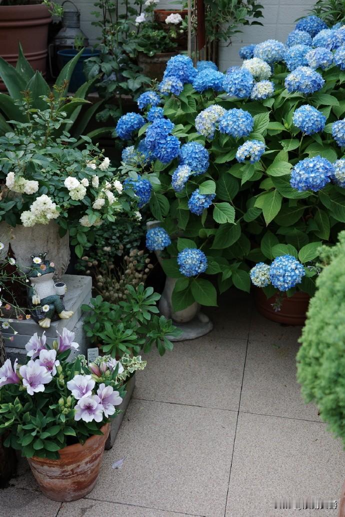 我们这一代人，应该明白并接受一个事实，就是晚年儿孙满堂别想了。不是年轻人