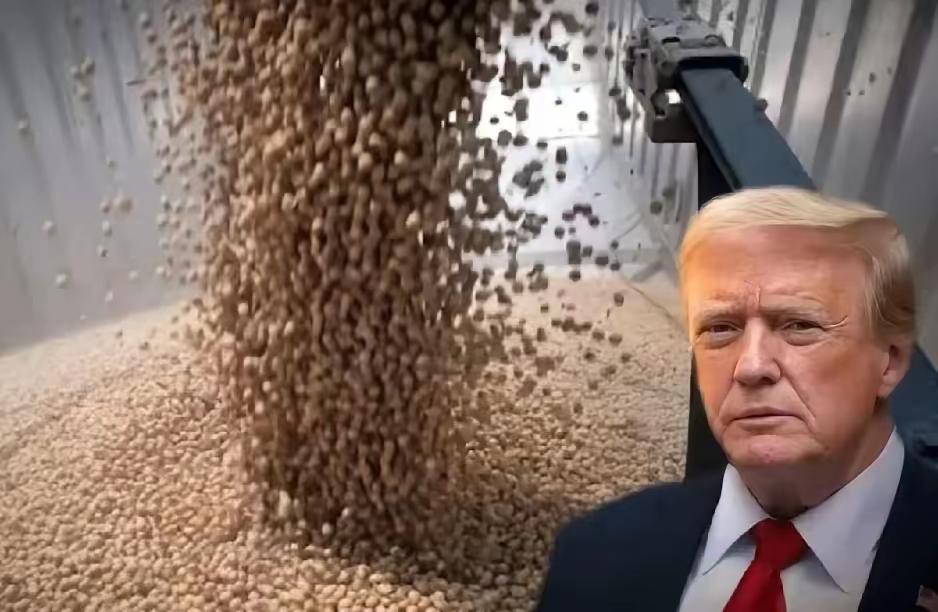 最近听说中国为了缓和关系，买了不少美国大豆，还放松了稀土出口限制。可没想到美国马