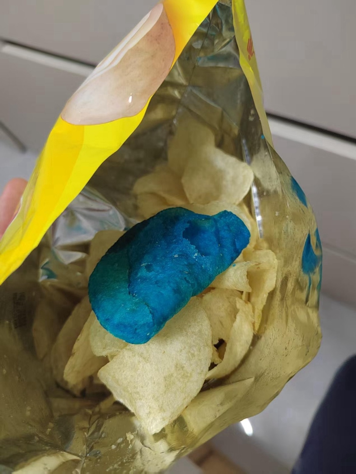 乐事蓝色薯片应该是质检样品。工厂里用的是这种流水线式的炸炉，需要定期放一个染过色