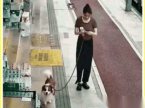 我今天，真的，就眼睁睁看着一个打扮得人模人样的女的，牵着她的狗。然后那狗抬腿，