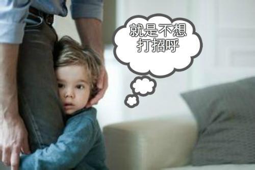 美诺 内向的孩子没出息? 他们可能才是人生赢家!