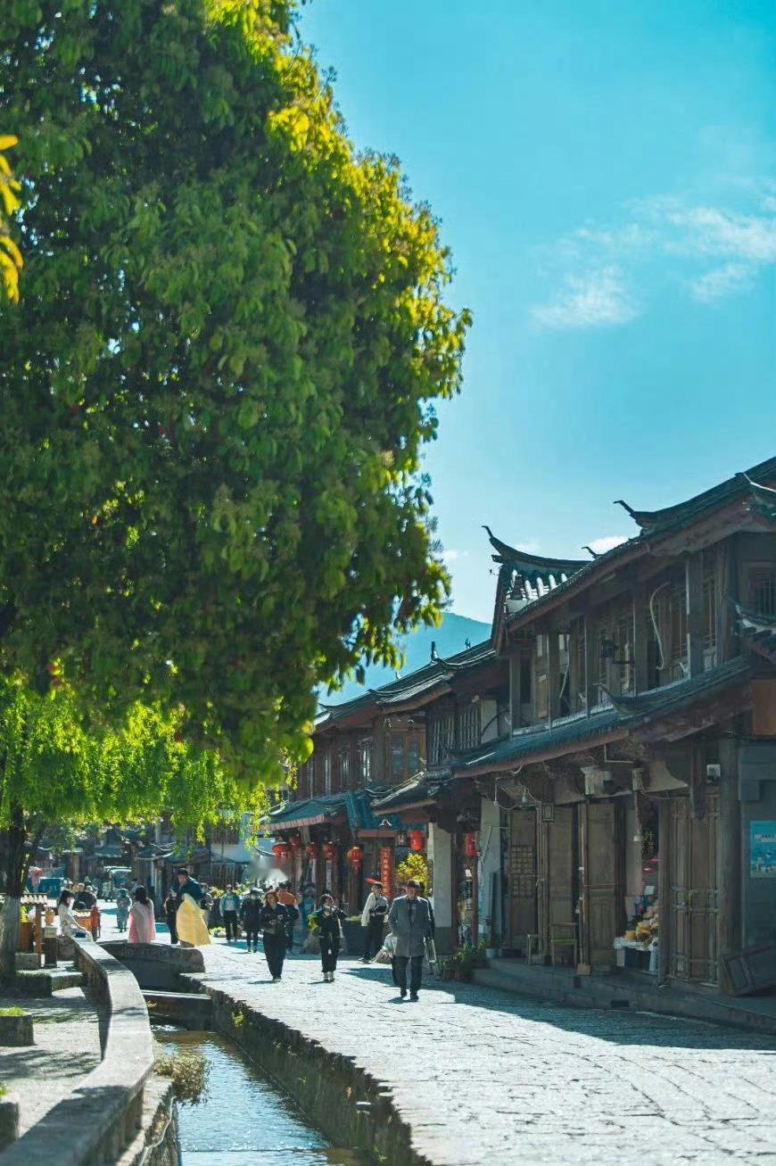 四月的丽江古城，芳菲未尽春正盛，半城春水一城花，正是人间烂漫时。