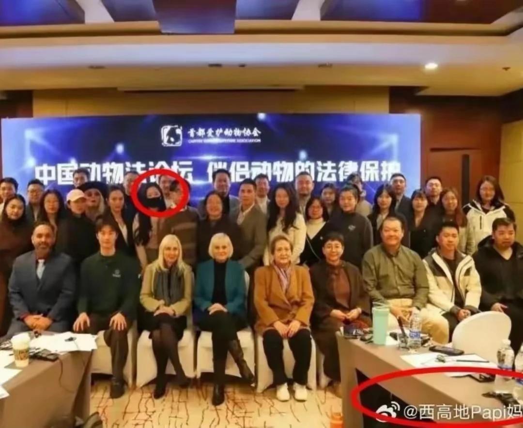 看这新闻，小狗女主，为狗辞职维权3年，是任性还是社会进步？有俩疑问？一个：不