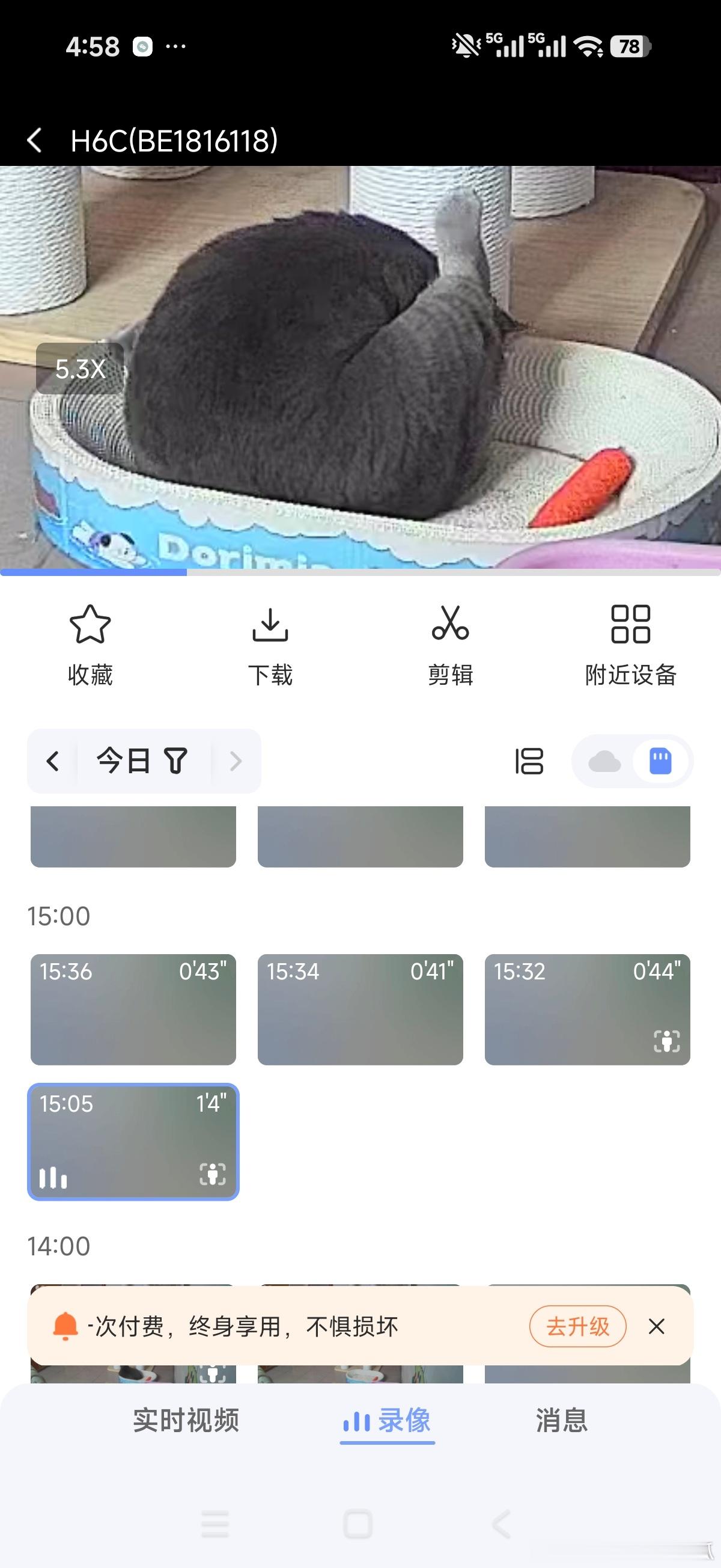 想念我的大鸡腿宝贝​​​