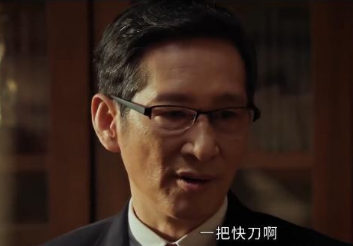 《以法之名》看不懂张放了，要把万海案办成铁案的是他，放洪亮这把快刀捅出去的也是他