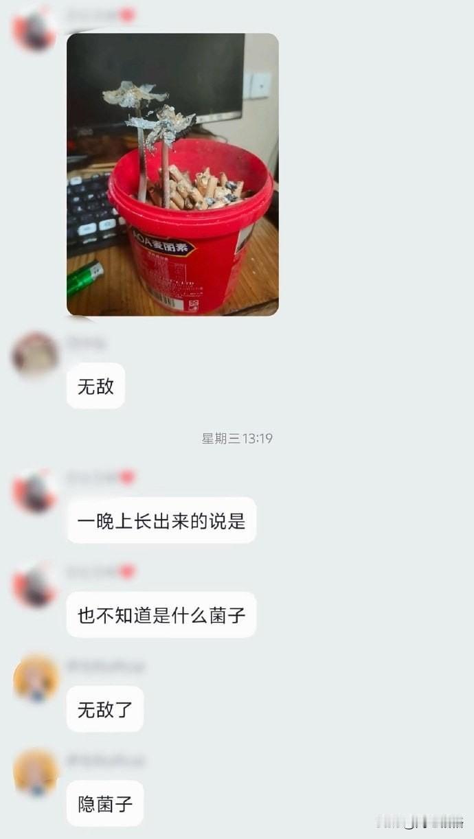 尼古苗苗？🙃