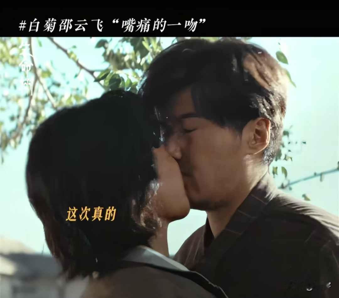 生命树：白菊和邵云飞第二吻来了，又是白菊主动，不过变成邵云飞“惨痛吻”！分别期