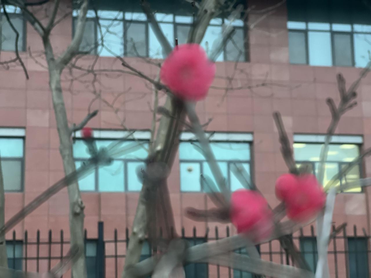 对山东高速男篮外援约翰逊说几句约翰逊越打越好，是不是经受住了考验？老郑说，还要